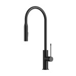 Aziz Matte Black Pull Out Sink Mixer